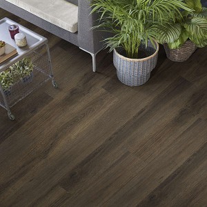 Rustic Oak Plank